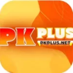 PK PLUS game logo 2026